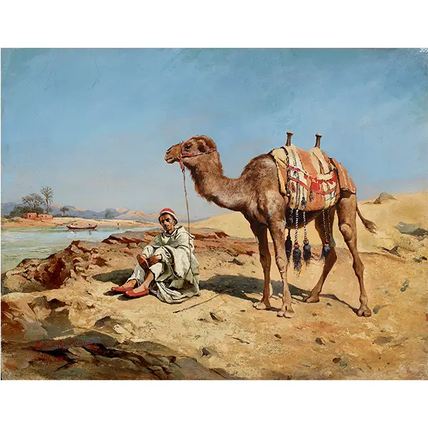 فرشینه و قالیچه طرح فانتزی مناسب هال و پذیرایی برند دفه کد 205