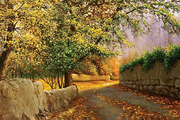 فرشینه و روفرشی ( مستطیل ، گرد ، بیضی ، مربع ) جنس پارچه شانل ، هازان ترک طرح ویژه برند دفه کد VDEFEH 1732763